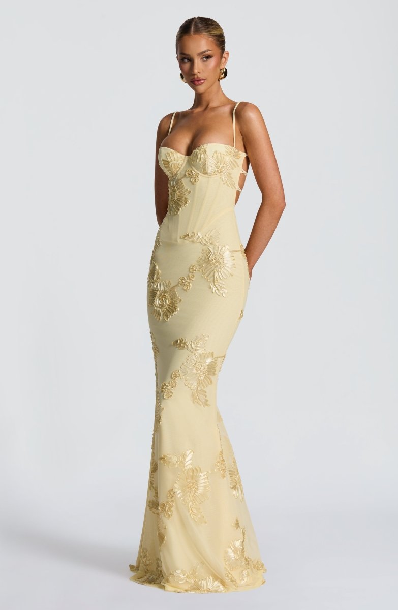 Women's Elegant Lace Maxi Dress